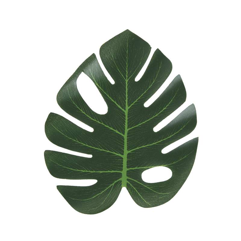 חבילת 6 פליסמנט עלה פילדנדרום 20/24 ס"מ